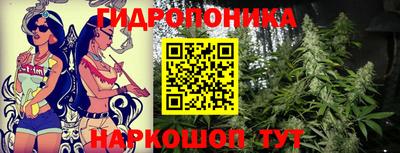 меф Кингисепп