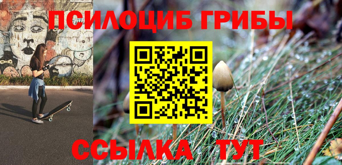 Галлюциногенные грибы GOLDEN TEACHER  купить   Вход с VPN  Тосно  Псилоцибиновые грибы Magic Shrooms 